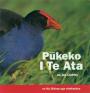 Pukeko I Te Ata cover image. 